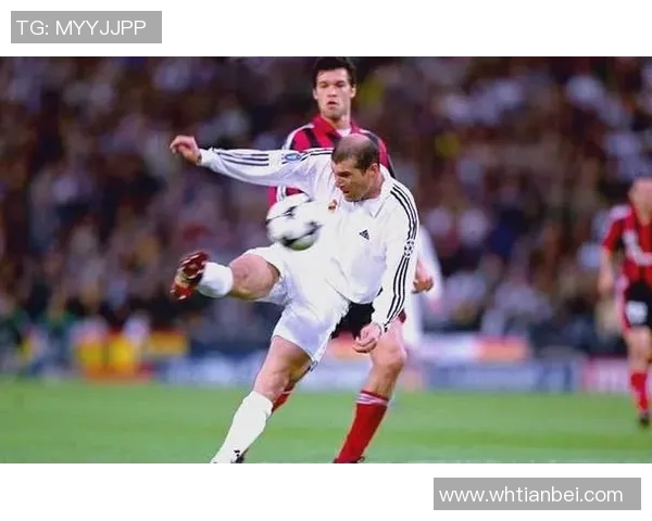 足球明星的背后数字揭秘揭示他们的成就与影响力