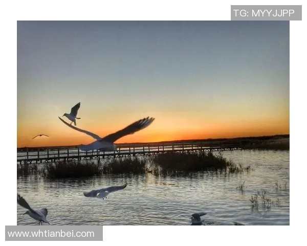 当我老婆邂逅足球明星的那些年我们一起追逐的梦想与爱情 当我老婆邂逅足球明星的那些年我们一起追逐的梦想与爱情