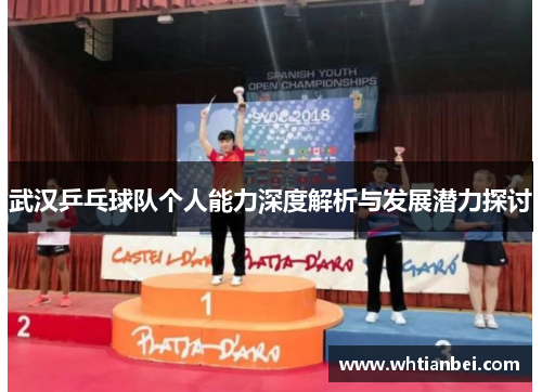 武汉乒乓球队个人能力深度解析与发展潜力探讨