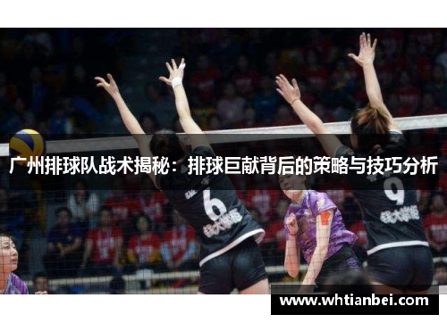 广州排球队战术揭秘：排球巨献背后的策略与技巧分析