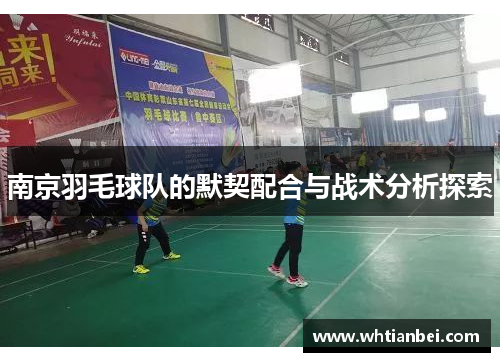 南京羽毛球队的默契配合与战术分析探索