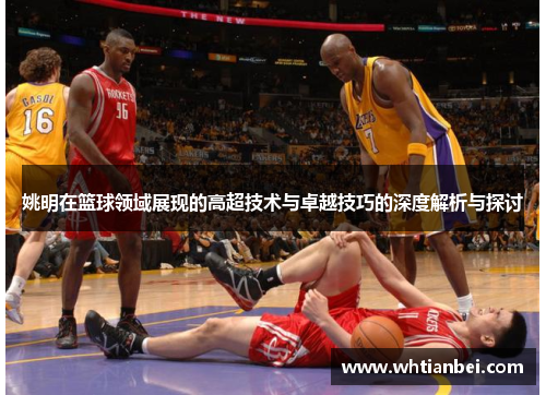 姚明在篮球领域展现的高超技术与卓越技巧的深度解析与探讨